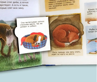 Что? Почему? Зачем? Малышу. Когда приходит ночь (с волшебными окошками) Printed books Омега