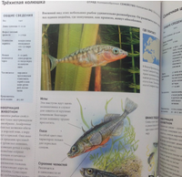 Энциклопедия .Животный Мир. Реки, Озера, Болота Printed books Проф Пресс