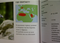 Энциклопедия .Животный Мир. Тропики Printed books Проф Пресс