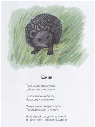 На лесной тропинке. Н.В. Кузнецова Printed books Фолиант