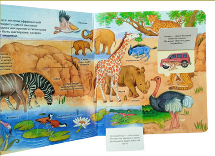 Удивительные животные. Энциклопедия с окошками Printed books Росмэн