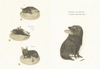 Писатель. Давид Кали Printed books Лорета