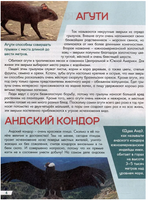 Лучшая Детская Энциклопедия. Животный Мир от А до Я Printed books Проф Пресс