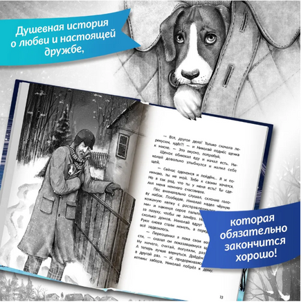 Музыка внутри. Серия Буду твоим другом Printed books Феникс-Премьер