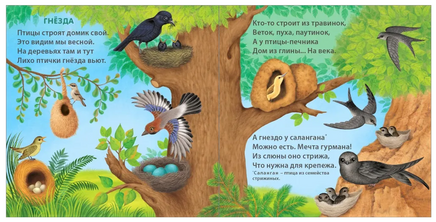 Удивительные дома животных. Книжки-картонки Printed books Робинс