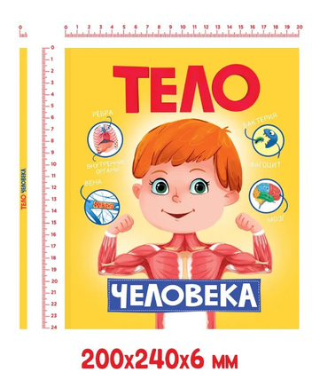 Энциклопедия для детей. Тело человека Printed books Проф Пресс