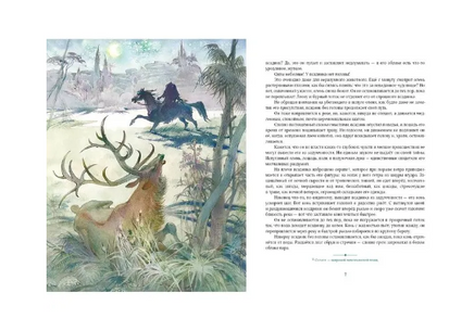 Всадник без головы. Т. М. Рид Print Books Нигма