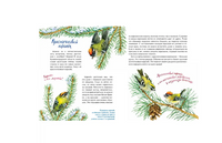 Птички-невелички. Н. Габеева Printed books Настя и Никита