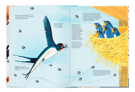 Тысяча и одна птица. Иоанна Жезак Printed books Ад Маргинем