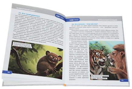 Энциклопедия. 100 Вопросов и ответов. Животный Мир Printed books Проф Пресс