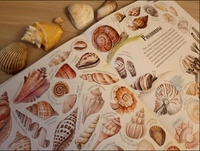 Формы и узоры природы / Яна Седлачкова, Штепанка Сэканинова Printed books Фолиант