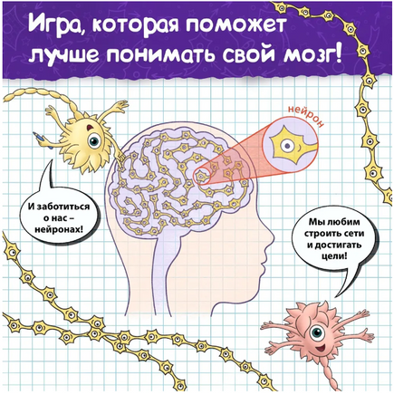 Нейролабиринт. Настольная игра. Курпатов А.В Printed books Капитал