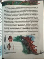 Динозавры. Человек. Детская энциклопедия Printed books Росмэн