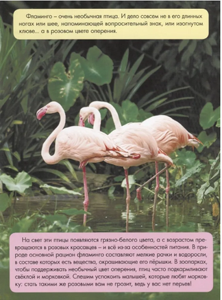 Зачем Светлячку Фонарик? Printed books Проф Пресс