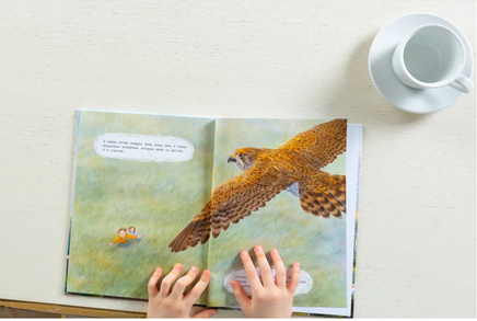 Мои соседи соколы Printed books Феникс-Премьер