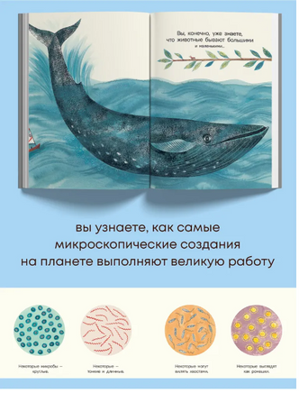 Микро. Тайная жизнь невидимого мира Printed books Хоббитека