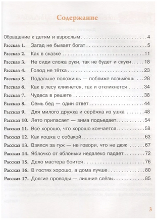 Чудесные приключения в деревне Сказкино. Шастина Е. Printed books Русский язык