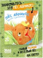 Пес Абрикос изучает и запоминает Printed books 40 Книг