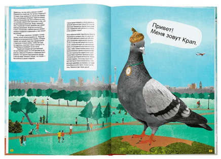 Архитектура глазами голубя. Крап Ли Пернохвост Printed books Ад Маргинем