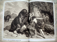 Животные Земли. Прошлое и будущее Printed books Белый город