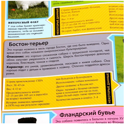 Энциклопедия о Собаках Printed books Проф Пресс