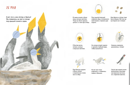 Дневник ласточки Print Books Самокат