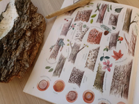 Формы и узоры природы / Яна Седлачкова, Штепанка Сэканинова Printed books Фолиант