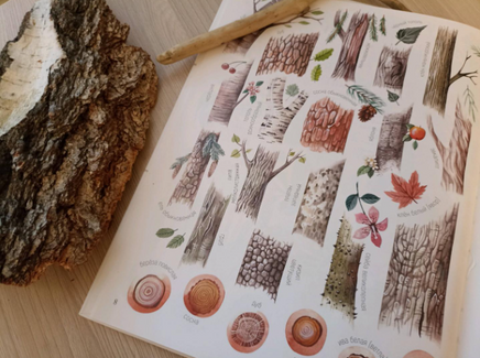 Формы и узоры природы / Яна Седлачкова, Штепанка Сэканинова Printed books Фолиант