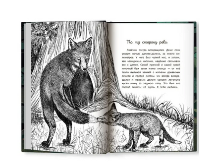 Бегущие по кромке леса. Серия Буду твоим другом Printed books Феникс-Премьер