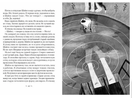 Шайло Printed books Волчок