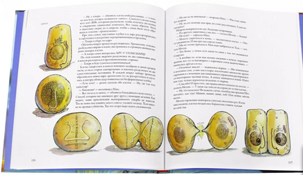 Тайны анатомии. Доннер Кэрол Printed books Розовый Жираф