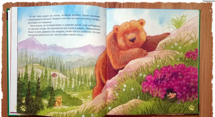 Папы-мишки никогда нет рядом / Хейди Ховарт Printed books Фолиант