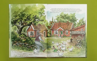 Чужак в огороде. Свен Нурдквист. Printed books Белая Ворона