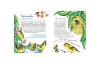 Птички-невелички. Н. Габеева Printed books Настя и Никита