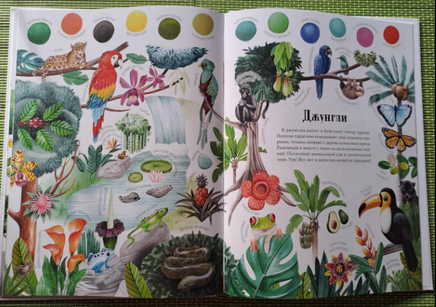 Цвета окружающего мира / Яна Седлачкова, Штепанка Сэканинова Printed books Фолиант