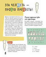 Зубастая энциклопедия Printed books Абраказябра