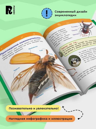 Насекомые. Энциклопедия для детского сада Printed books Росмэн