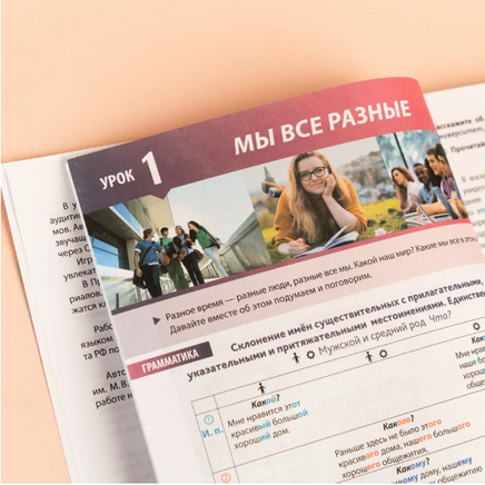 Русский язык сегодня: Базовый уровень (А2). Учебник для иностранных учащихся Printed books Русский язык