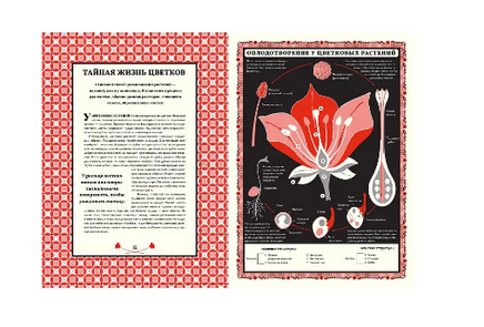 Мир растений Printed books Поляндрия Принт