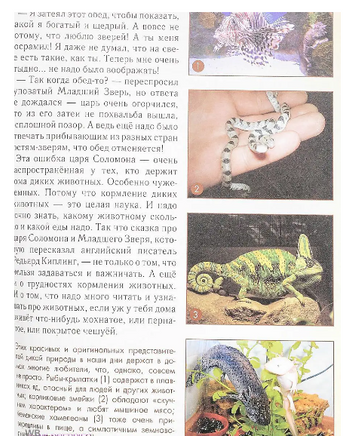Домашние животные Printed books Белый город