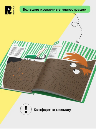 Яблочки-пятки. Орлова А. Printed books Росмэн
