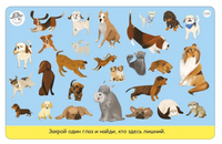 Тренируем зрение. 50 карточек с заданиями Printed books Робинс