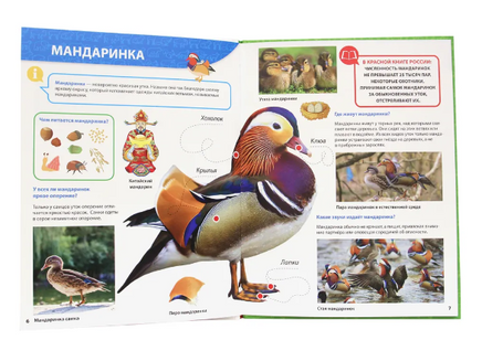 Первая Детская Энциклопедия. Всё о Красной книге Малышам Printed books Проф Пресс