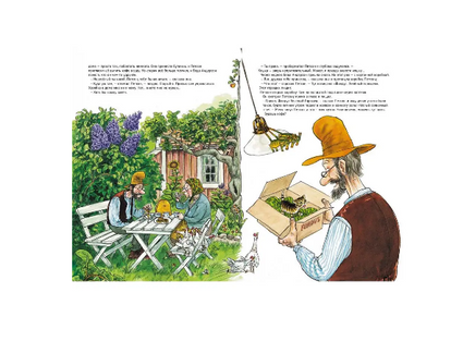История о том, как Финдус потерялся, когда был маленький. Свен Нурдквист. Printed books Белая Ворона