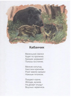 На лесной тропинке. Н.В. Кузнецова Printed books Фолиант