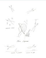 Малыш и река. Юбилейное издание Print Books Самокат