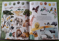 Цвета окружающего мира / Яна Седлачкова, Штепанка Сэканинова Printed books Фолиант