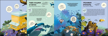 Вместе лучше! Командная работа в мире животных Printed books Махаон