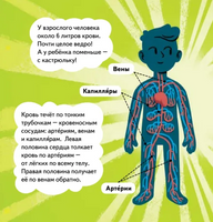 Ми-ми-мишки. Тело человека. Почему сердце стучит, живот бурчит, и как ты появился на свет? Printed books Питер