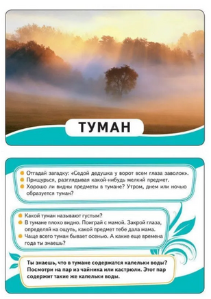Умные карточки. Мир вокруг Printed books Росмэн